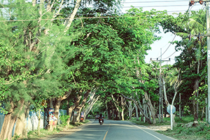 street at klong muang